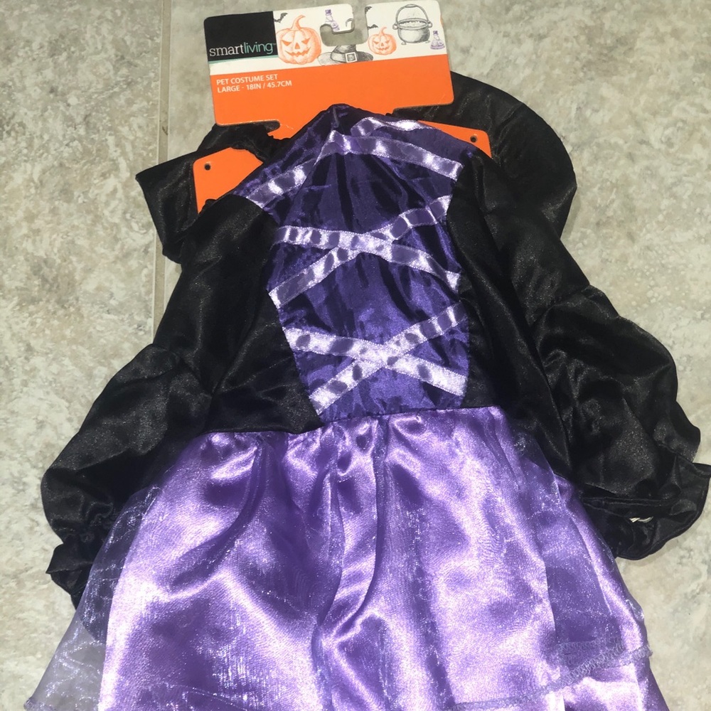 Witch Pet Costume Set
